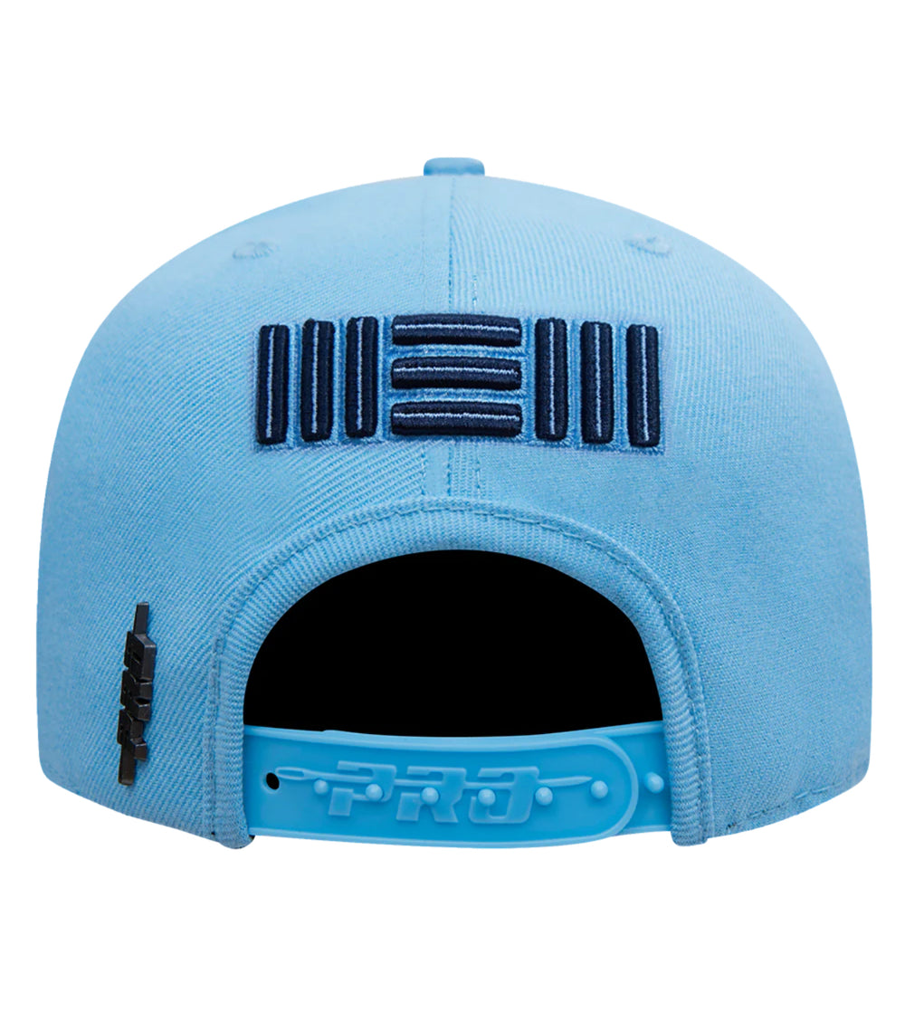 Memphis grizzlies mashed up snapback hat