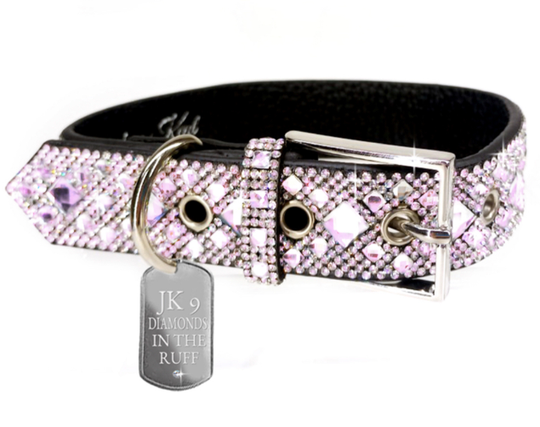 Bust Down Dog Collars (Large)