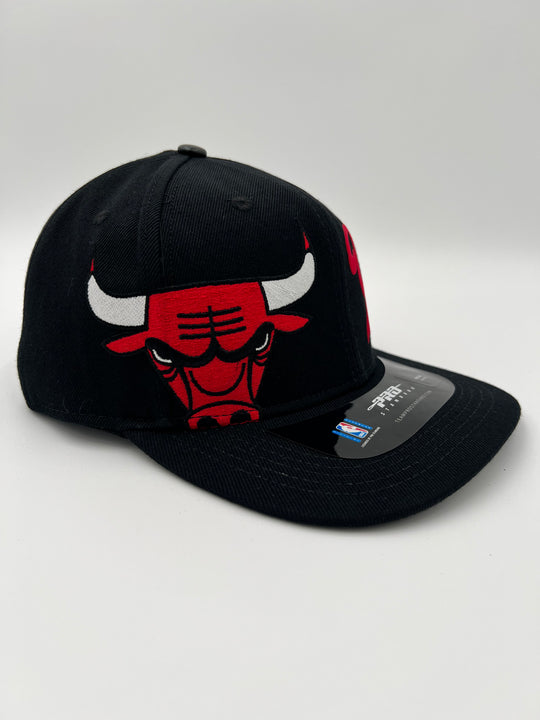 Chicago Bulls Pro Six SnapBack Hat