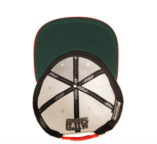 Minnesota Wild SnapBack Hat