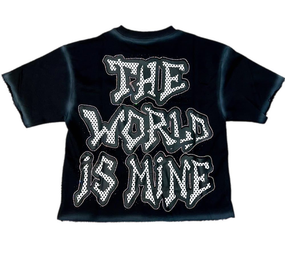 World Domination Premium Cropped T-Shirt