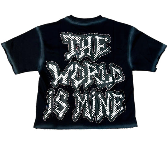 World Domination Premium Cropped T-Shirt