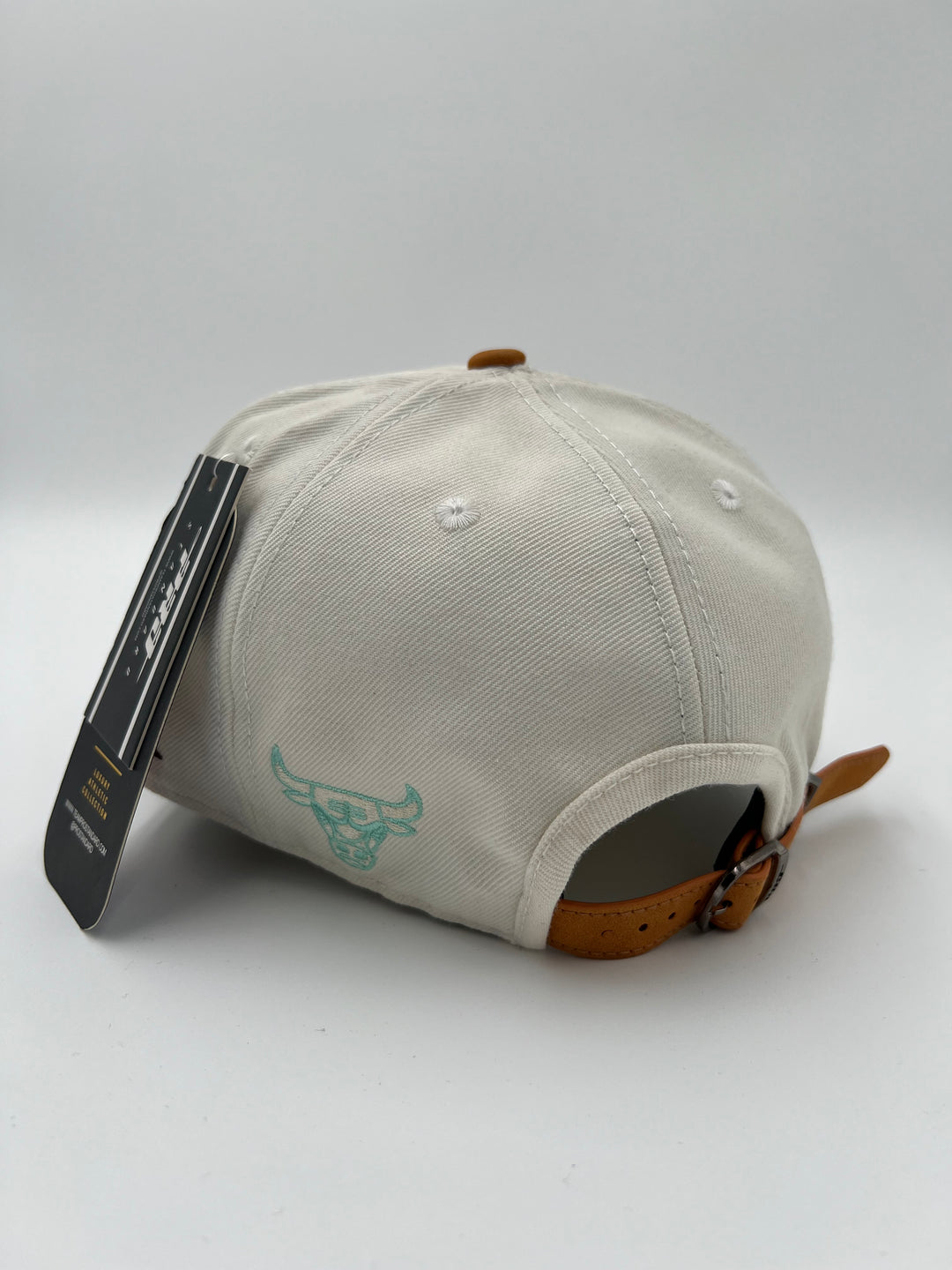 Chicago Bulls Mint Championship SnapBack Hat