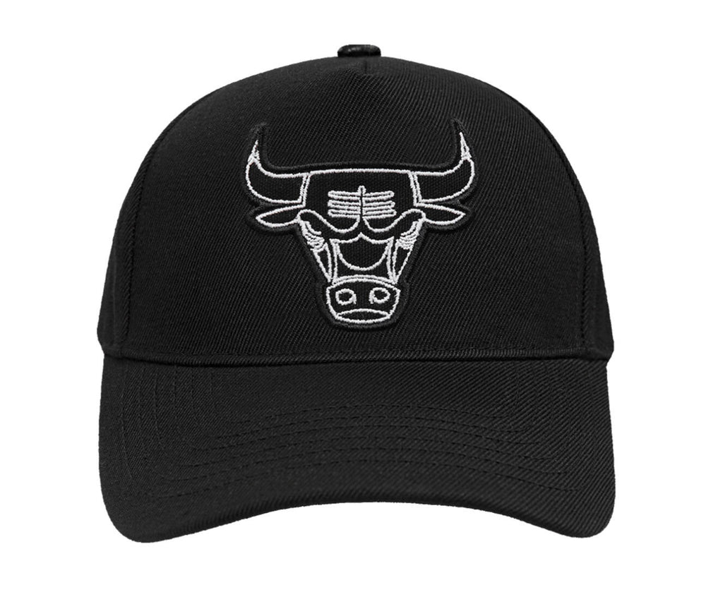 Chicago Bulls paint the city curved visor snapback