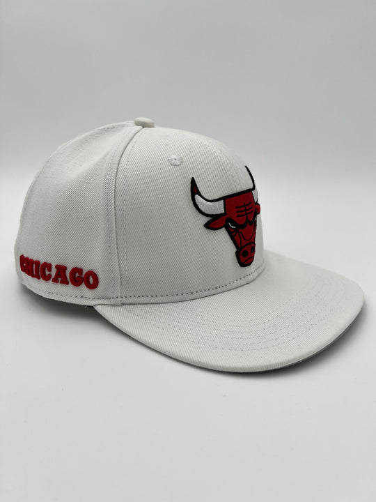 Chicago Bulls Classic Logo SnapBack Hat