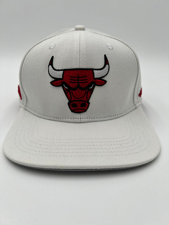 Chicago Bulls Classic Logo SnapBack Hat