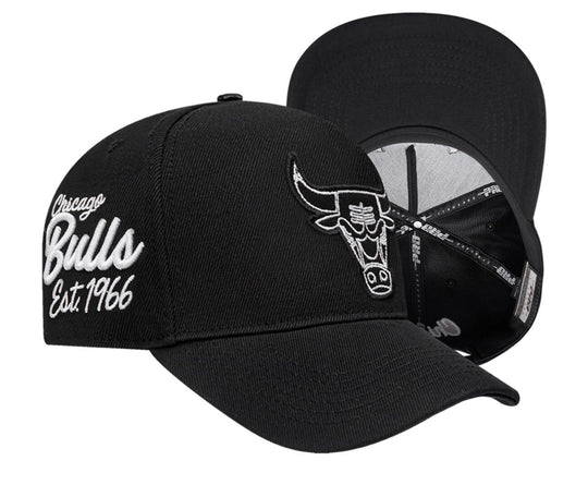 Chicago Bulls paint the city curved visor snapback