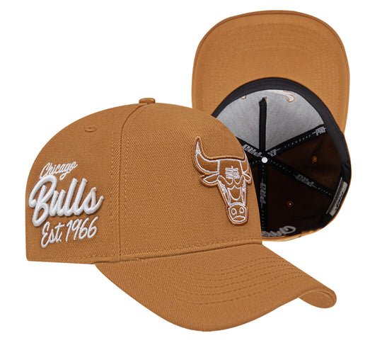 Chicago Bulls paint the city curved visor snapback