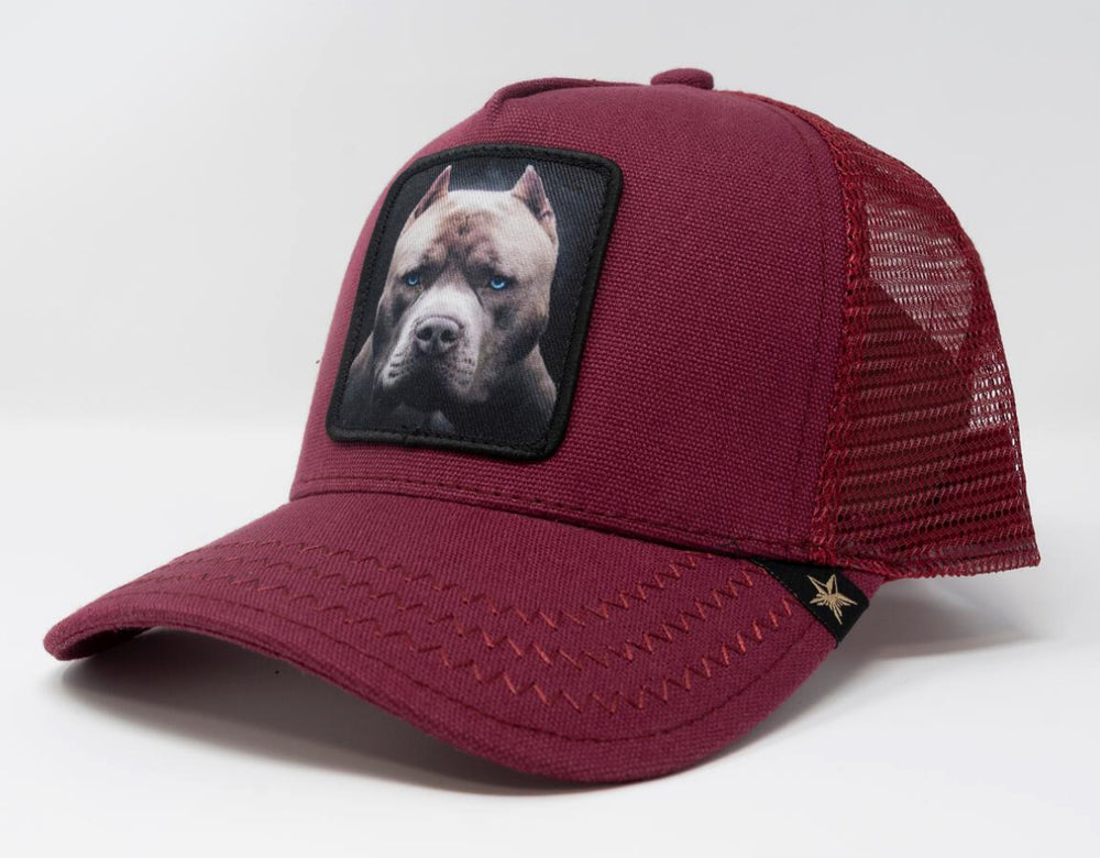 Pit bull life trucker hat
