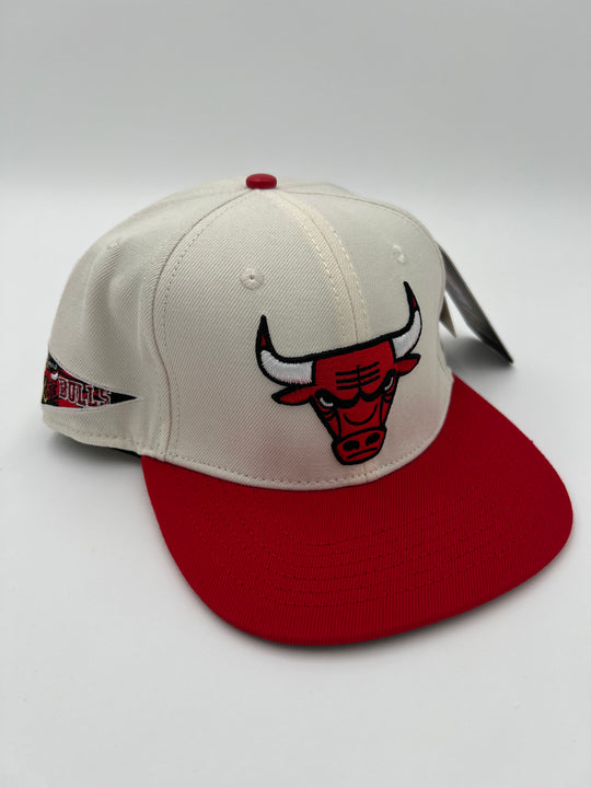 Chicago Bulls SnapBack Hat
